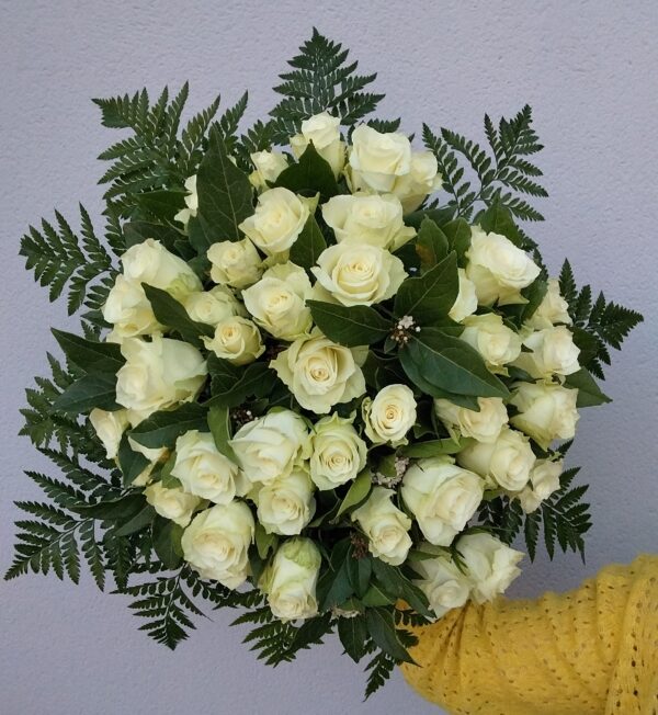 roses blanches