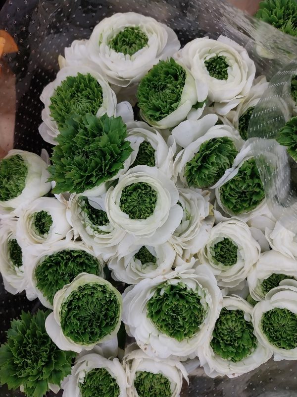 Fleurs de saison - Hiver