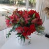 Bouquet d'amaryllis rouge et rouges striés de blanc dans un vase blanc moderne