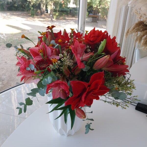 Bouquet d'amaryllis rouge et rouges striés de blanc dans un vase blanc moderne