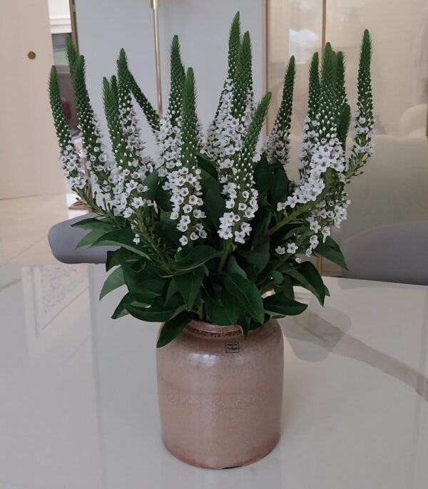 Bouquet uni - chic et sobre