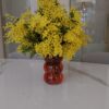 Bouquet de mimosa