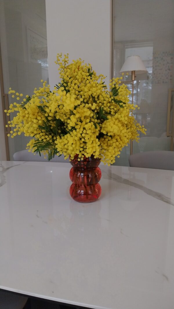 Bouquet de mimosa