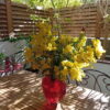 Bouquet de mimosa