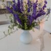 Fleurs de saison - Printemps