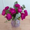 PXL_20260521_082346462 Pivoines de France