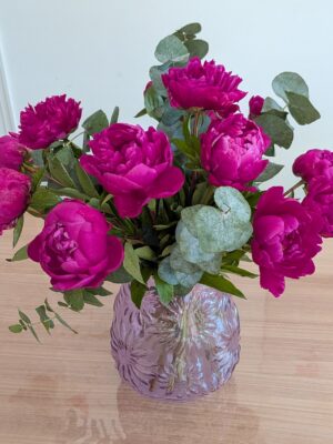 Pivoines de France