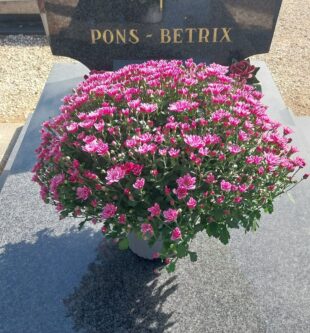 nettoyage de tombes avec pose de chrysanthème