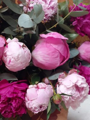 Bouquet de pivoines