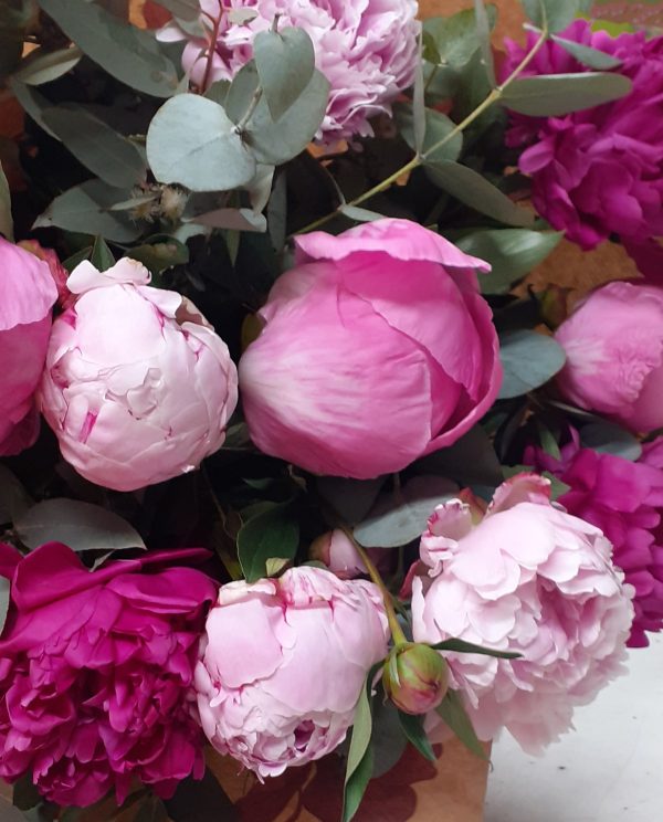 Bouquet de pivoines